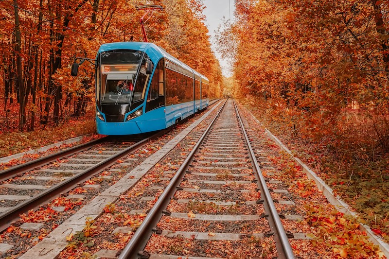 Bahn fährt durch Herbstwald